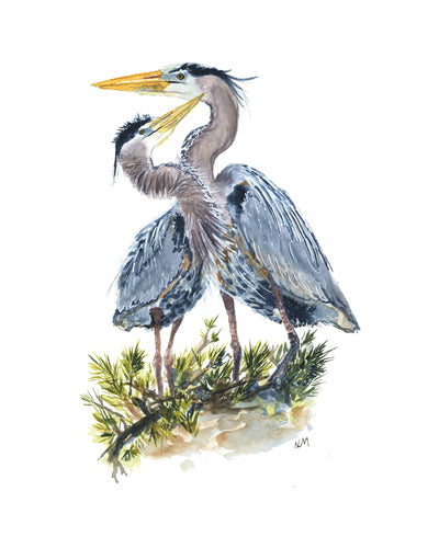 Blue Heron Print