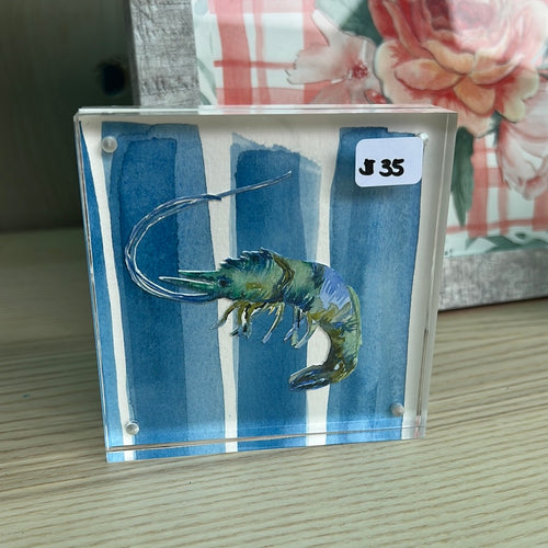 Shrimp glass block