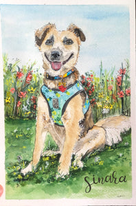 Custom Pet Portrait